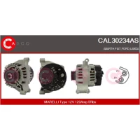 Alternator samochodowy